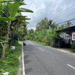 Tanah lokasi berada dilingkungan tenang dan nyaman Desa Payangan Gianyar (3)