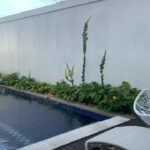 for sale Modern Villa 3BR Furnished located in Kerobokan Badung (1)