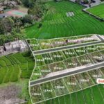 dijual Tanah Kavling Super Murah view Pantai dan Sawah di Pantai Cemagi Badung (4)